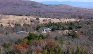 alpaca farm in valley