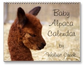 Alpaca Calendar