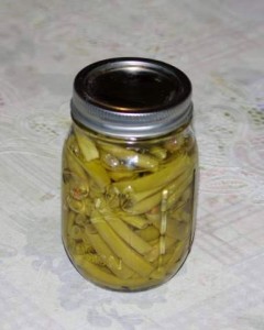 Canned green beans Canned green beans