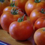 Tomatoes from our garden Tomatoes from our garden