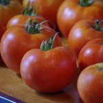 Tomatoes from our garden