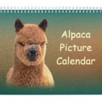 Alpaca Calendar