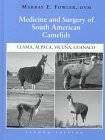 Medicine and Surgery of South American Camelids