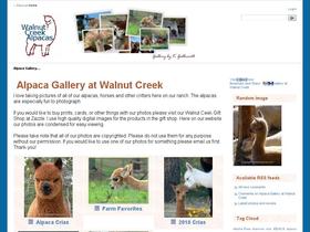 Alpaca Picture Gallery