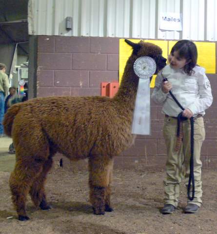 Jasmine wins a ribbon