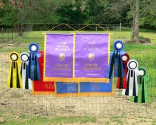 Ribbons won at Oklahoma Show