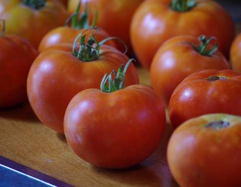 Tomatoes from our garden