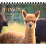 Alpaca Calendar 2018