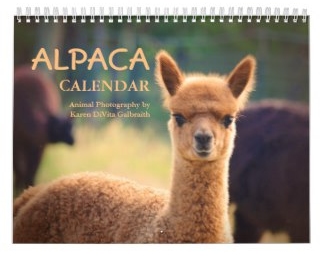 alpaca calendar