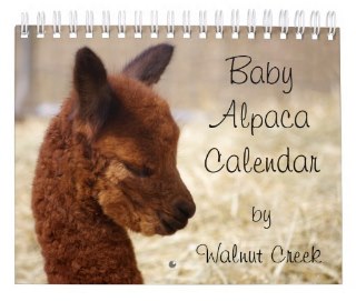 baby alpaca calendar