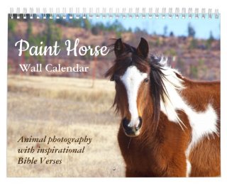 2019 paint horse calendar