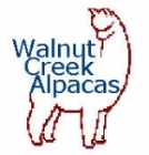 Alpacas and Sharpening Services at Walnut Creek