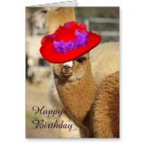 Alpaca birthday card