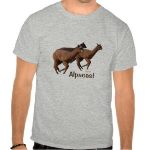 alpaca t-shirt