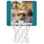 alpaca basketball hoop
