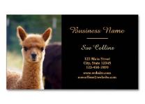 alpaca business cards