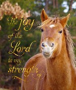 Horse bible verse
