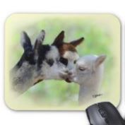 alpaca mousepad