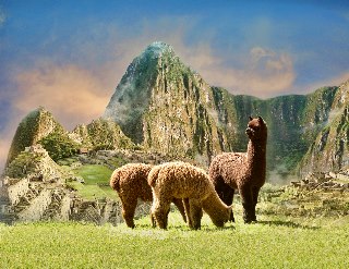 Machu-Picchu