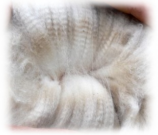 alpaca fleece